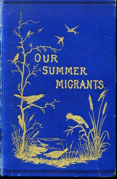 OUR SUMMER MIGRANTS An Account of the Migratory Birds which pass the summer in the British Islands Image for OUR SUMMER MIGRANTS An Account of the Migratory Birds which pass the summer in the British Islands
