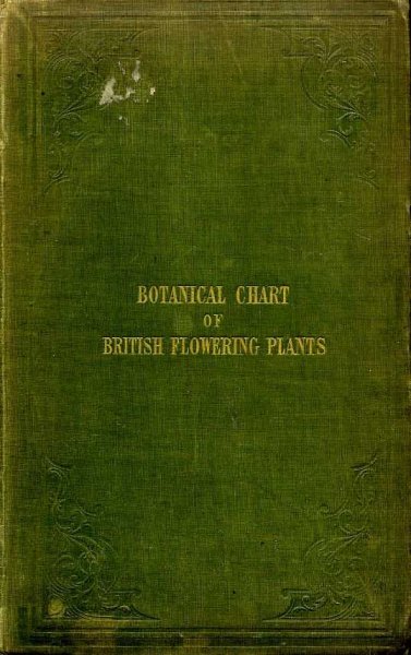 THE BOTANICAL CHART OF BRITISH FLOWERING PLANTS AND FERNS: shewing at one view their chief characteristics....... Image for THE BOTANICAL CHART OF BRITISH FLOWERING PLANTS AND FERNS: shewing at one view their chief characteristics.......