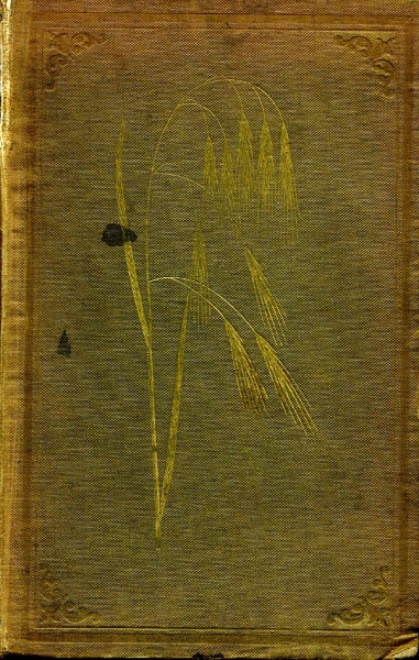 Image for THE GRASSES OF BRITAIN
