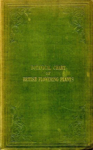 THE BOTANICAL CHART OF BRITISH FLOWERING PLANTS AND FERNS: shewing at one view their chief characteristics, Generic & Specific Names, with the derivation; Their Localities, Properties etc Image for THE BOTANICAL CHART OF BRITISH FLOWERING PLANTS AND FERNS: shewing at one view their chief characteristics, Generic & Specific Names, with the derivation; Their Localities, Properties etc