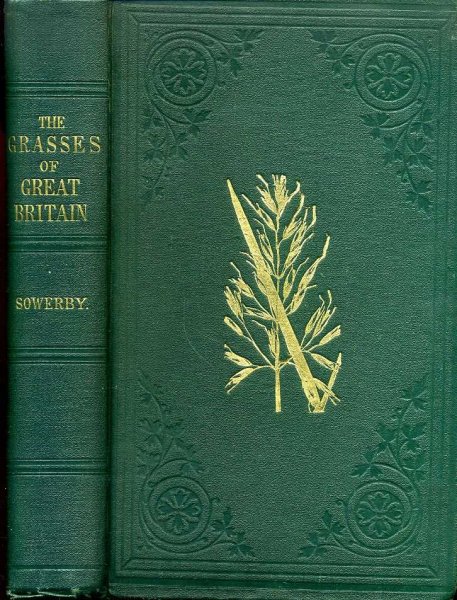 Image for THE GRASSES OF GREAT BRITAIN
