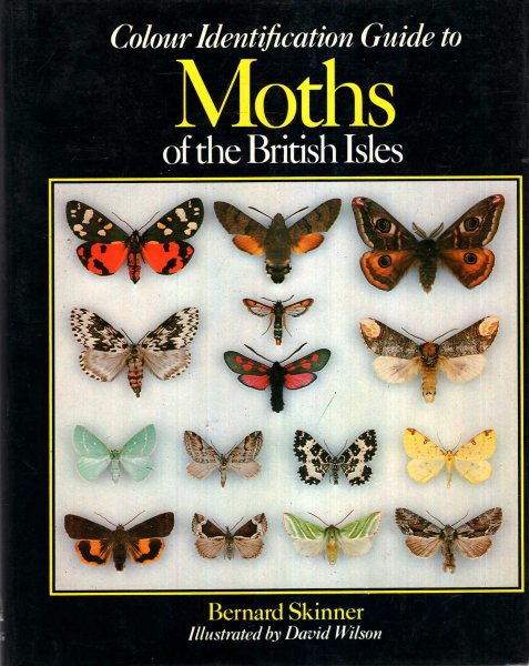Image for Colour Identification Guide to Moths British Isles