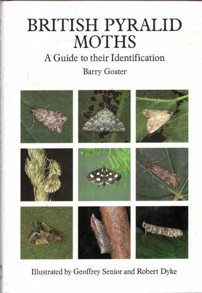 Image for British Pyralid Moths : A Guide to Their Identification