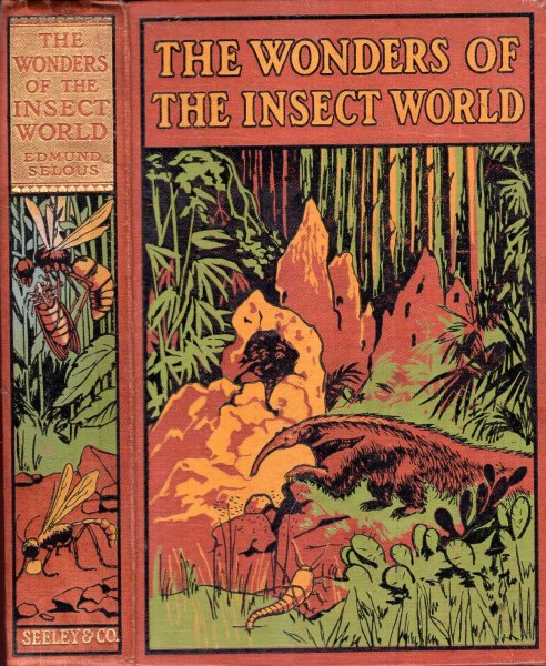 The Wonders of the Insect World Image for The Wonders of the Insect World