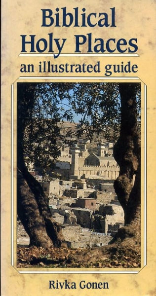 Image for Biblical Holy Palces : an illustrated guide