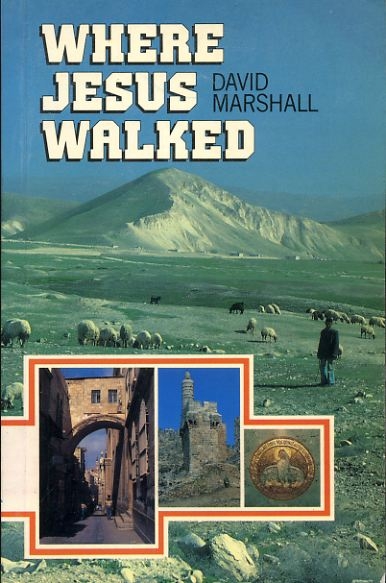 Image for WHERE JESUS WALKED in search of Jesus Christ among the towns and villages, mountains and deserts - shrines and 'holy places' of present-day Israel