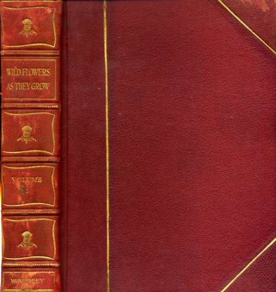 Image for WILD FLOWERS AS THEY GROW photographed in colour direct from nature (five volumes)