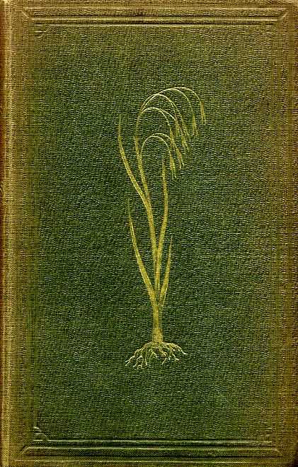 WANDERINGS AMONG THE WILD FLOWERS: How to see and how to gather them with Two Chapters on the Economical and Medicinal uses of our native plants Image for WANDERINGS AMONG THE WILD FLOWERS: How to see and how to gather them with Two Chapters on the Economical and Medicinal uses of our native plants