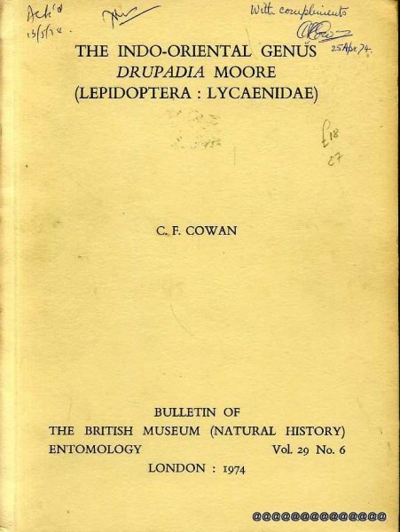 THE INDO-ORIENTAL GENUS DRUPADIA MOORE (Lepidoptera: Lycaenidae) Bulletin of the British Museum (Natural History) Vol 29, No 6 Image for THE INDO-ORIENTAL GENUS DRUPADIA MOORE (Lepidoptera: Lycaenidae) Bulletin of the British Museum (Natural History) Vol 29, No 6