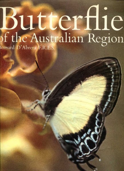 Image for BUTTERFLIES OF THE AUSTRALIAN REGION