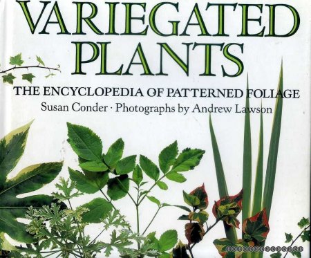Image for VARIEGATED PLANTS The Encyclopedia of Patterned Foliage