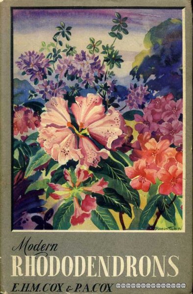 Image for MODERN ROHODODENDRONS