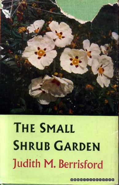 Image for THE SMALL SHRUB GARDEN