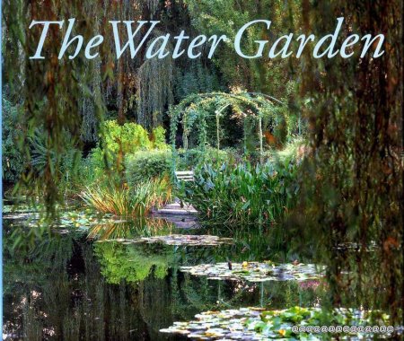 Image for THE WATER GARDEN
