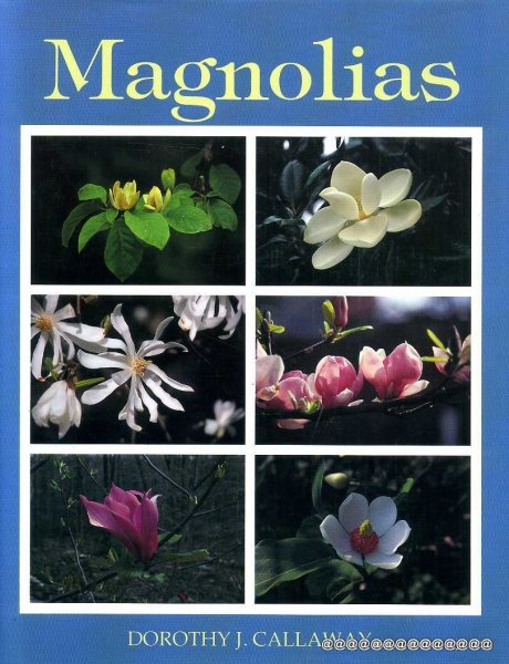 Image for MAGNOLIAS