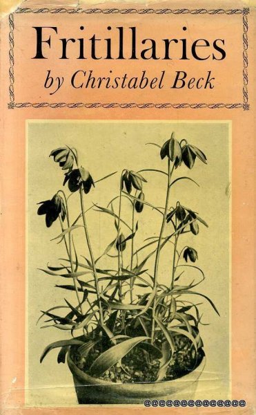 Image for FRITILLARIES a Gardener's Introduction to the Genus Fritillaria