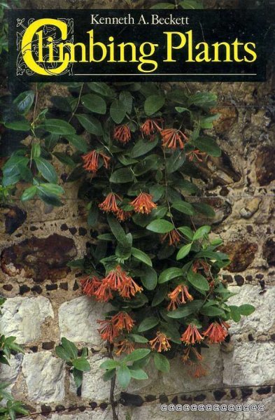 Image for CLIMBING PLANTS