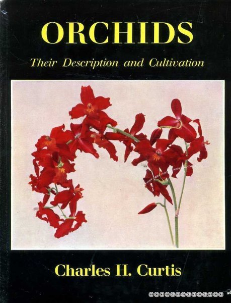 Image for ORCHIDS their description and cultivation