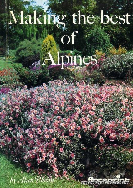 Image for MAKING THE BEST OF ALPINES