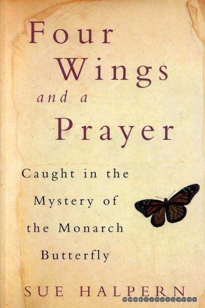 FOUR WINGS AND A PRAYER caught in the mystery of the Monarch Butterfly Image for FOUR WINGS AND A PRAYER caught in the mystery of the Monarch Butterfly