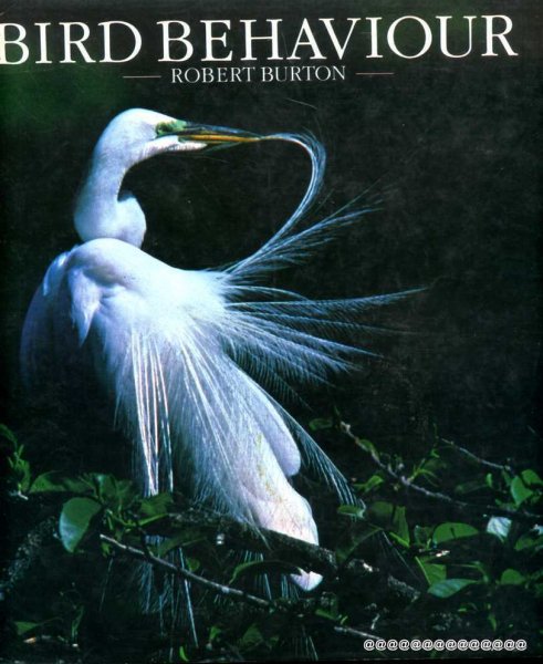 Bird Behaviour Image for Bird Behaviour