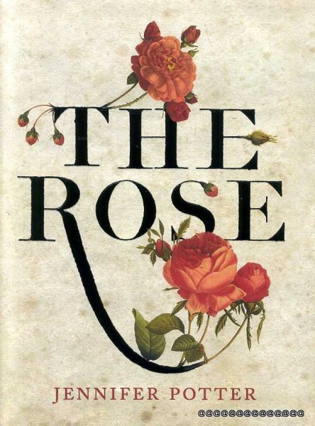 Image for The Rose : An Illustrated History (Limited edition)