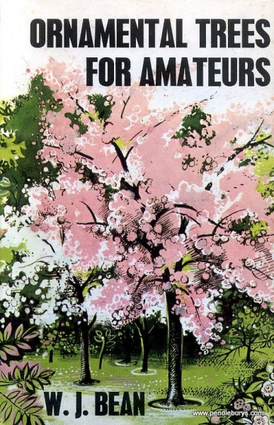 Image for Ornamental Trees for Amateurs