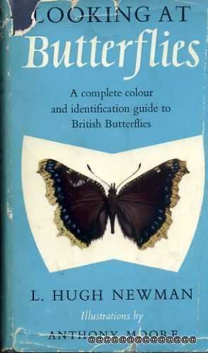 Image for Looking at Butterflies