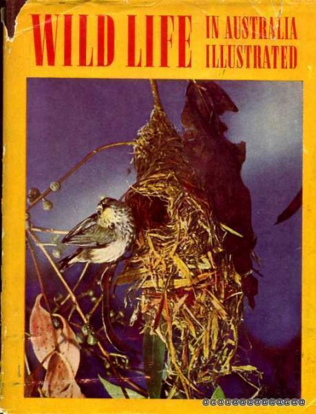 Wild Life in Australia Illustrated Image for Wild Life in Australia Illustrated