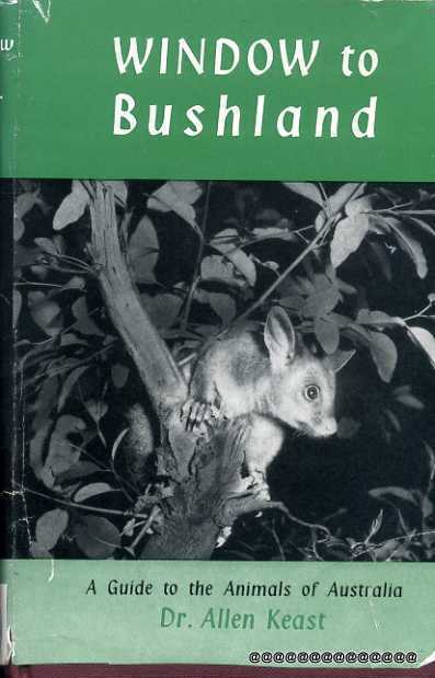Image for Window to Bushland