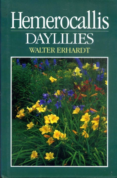 Image for Hemerocallis : Day Lilies