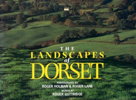 Image for The Landscapes of Dorset