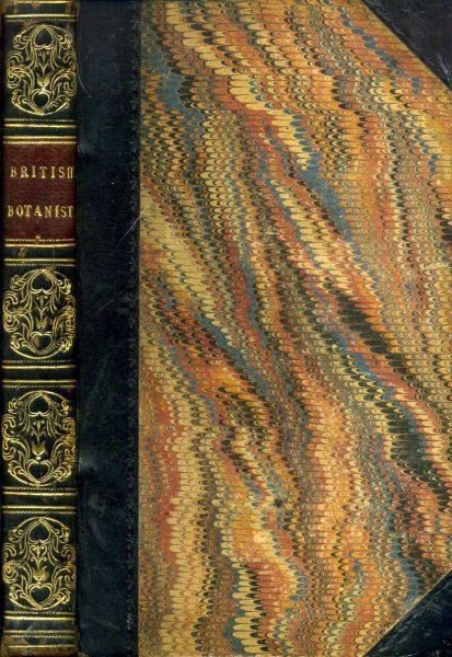 Image for The British Botanist, or A Familiar Introduction to the Science of Botany explaining the Physiology of Vegetation.....