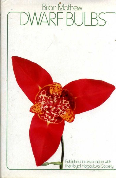 Image for DWARF BULBS