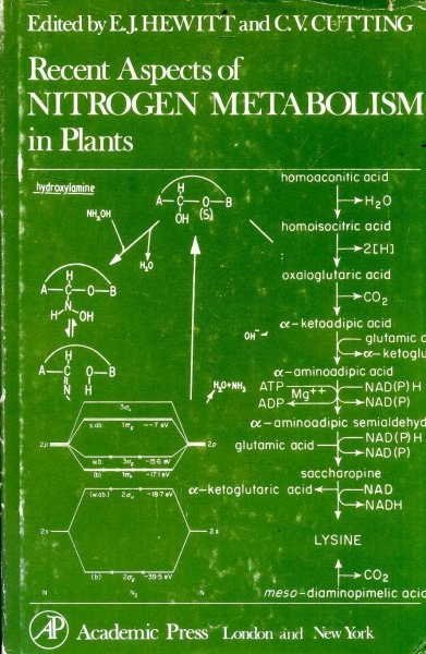 Image for Recent Aspects of Nitrogen Metabolism in Plants