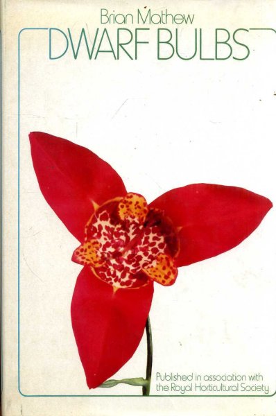 Image for DWARF BULBS