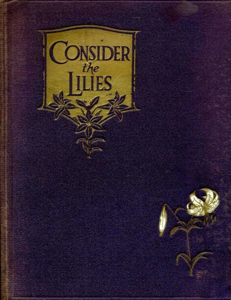 Image for Consider the Lilies