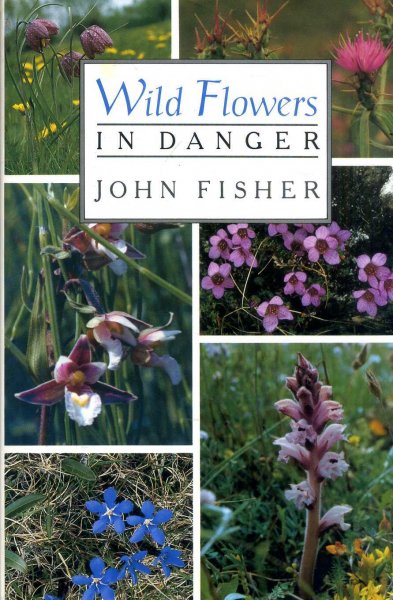 Image for Wild Flowers in Danger