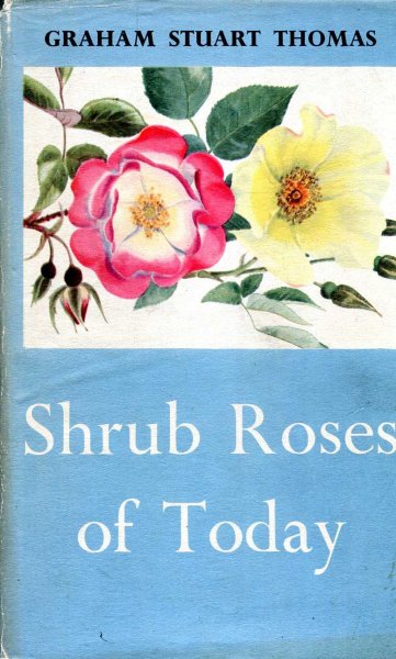 Image for Shrub Roses of Today
