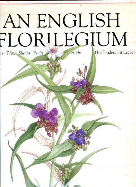 Image for An English Florilegium Flowers, Trees, Shrubs, Fruits, Herbs - The Tradescant Legacy