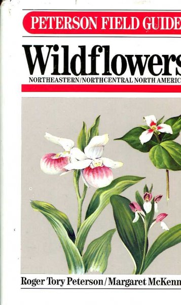 Image for A Field Guide to Wildflowers of Northeastern and North-Central North America