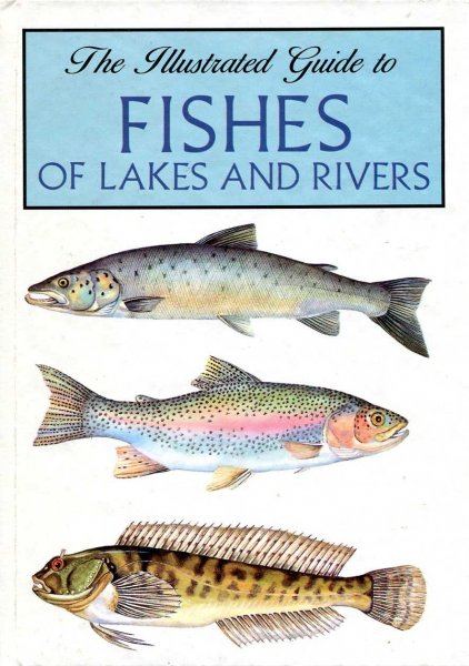 Image for The Illustrated Guide to Fishes of Lakes and Rivers