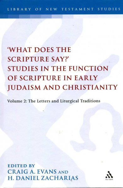 Image for What Does the Scripture Say? : Studies in the Function of Scripture in Early Judaism and Christianity, Volume 2 : The Letters and Liturgical Traditions