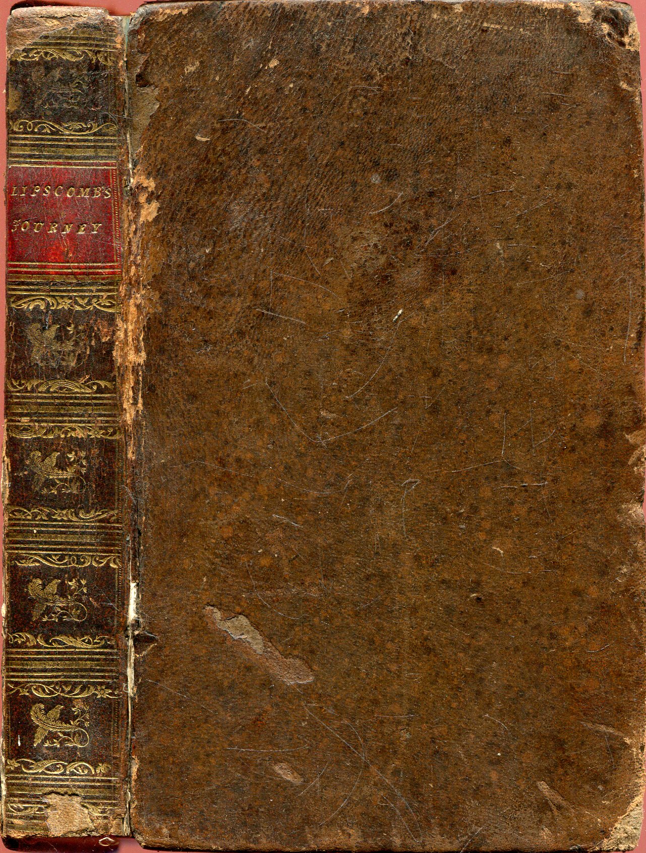 Image for Journey into South Wales through the counties of Oxford, Warwick, Worcester, Hereford, Salop, Stafford, Buckingham, and Hertford in the Year 1799