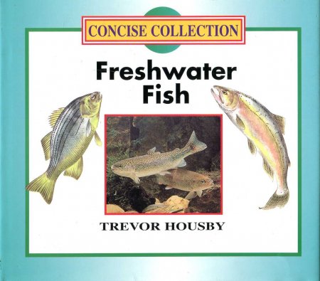 Image for Freshwater Fish (Concise Collection)