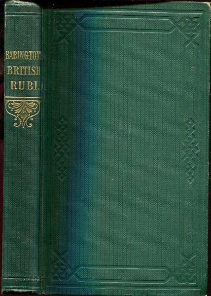 Image for The British Rubi : An Attempt to Discriminate the species of Rubus known to inhabit the British Isles