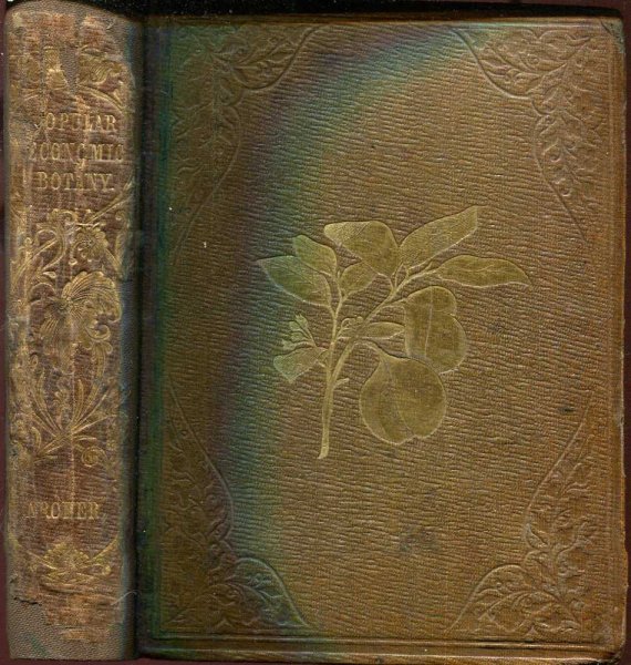 Image for Popular Economic Botany ; or Description of the Botanical and Commercial Characters of the principal articles of vegetable rigin, used for clothing, tanning, dyeing, building, medicine, perfurmery etc
