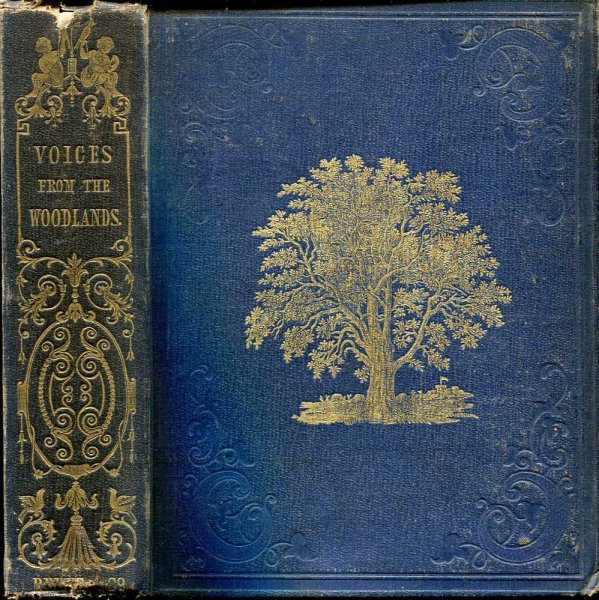 Image for Voices from the Woodlands, descritive of Forest Trees, ferns, Mosses, and Lichens