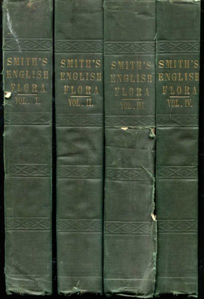 Image for The English Flora (four volumes)