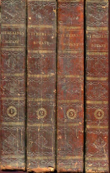Image for A Systematic Arrangement of British Plants : with An Easy Introduction to the Study of Botany